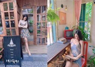 Bài thơ này có vẻ nói về a ny một cách phê pha – VietDam