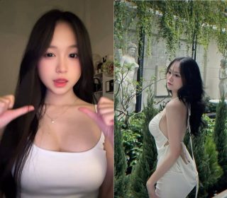 Phim heo Việt Nam Nguyễn Ngọc Thùy Trang hay – FullLiveHot